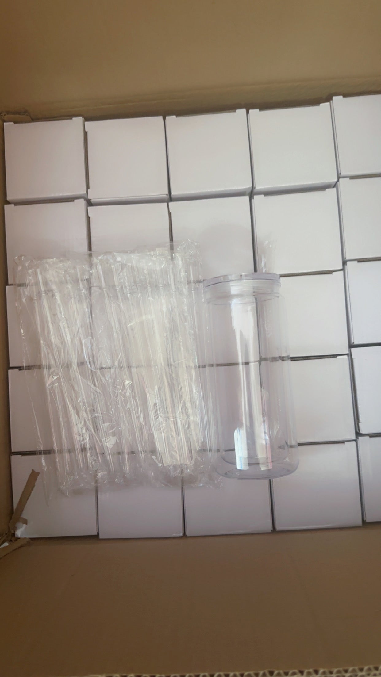 20 oz Blank Acrylic Snow Globe Tumblers